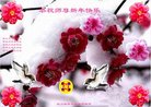 ֹ,Ĵ󷨵ӹףʦ(22)