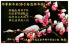 法轮功,山东大法弟子恭祝师尊新年好(25条)