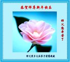 ֹ,󷨵ӹףʦ(21)
