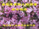 ֹ,󷨵ӹףʦ(21)