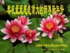 ֹ,Ϋ󷨵ӹףʦ(24)