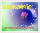 法轮功,保定大法弟子恭祝师尊新年好(28条)