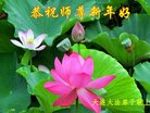 ֹ,󷨵ӹףʦ(22)