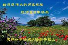 ֹ,ɶ󷨵ӹףʦ(19)