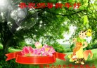 ֹ,ʡ󷨵ӹףʦ(24)