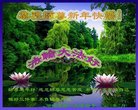 ֹ,󷨵ӹףʦ(21)