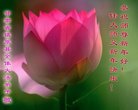 ֹ,󷨵ӹףʦ(20)