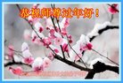 法轮功,北京大法弟子恭祝师尊新年好(22条)