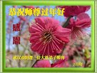 ֹ,󷨵ӹףʦ(21)