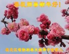 ֹ,󷨵ӹףʦ(19)