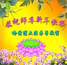 法轮功,哈尔滨大法弟子恭祝师尊新年好(20条)