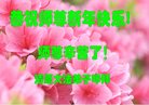 法轮功,辽宁大法弟子恭祝师尊新年好(20条)