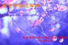 ֹ,ػʵ󷨵ӹףʦ(19)