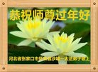 ֹ,żҿڴ󷨵ӹףʦ(18)