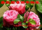 ֹ,ʯׯ󷨵ӹףʦ(20)