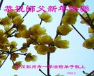 ֹ,ɶ󷨵ӹףʦ(19)