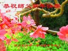 法轮功,成都大法弟子恭祝师尊新年好(19条)