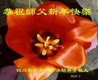ֹ,ɶ󷨵ӹףʦ(19)