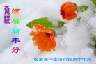 ֹ,󷨵ӹףʦ(21)