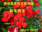 ֹ,ʡ󷨵ӹףʦ(23)