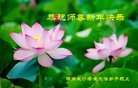 ֹ,ɳ󷨵ӹףʦ(21)