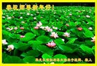 ֹ,󷨵ӹףʦ(22)