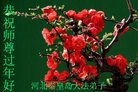 ֹ,ػʵ󷨵ӹףʦ(19)
