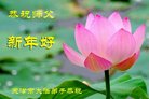 ֹ,󷨵ӹףʦ(21)