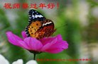 ֹ,󷨵ӹףʦ(22)
