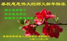 ֹ,ɶ󷨵ӹףʦ(21)