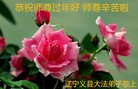 法轮功,锦州大法弟子恭祝师尊新年好(19条)