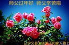 ֹ,ݴ󷨵ӹףʦ(19)