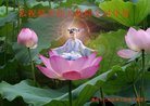 法轮功,重庆大法弟子恭祝师尊新年好(21条)