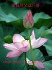 法轮功,重庆大法弟子恭祝师尊新年好(21条)