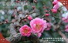 ֹ,󷨵ӹףʦ(23)