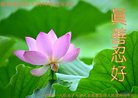 ֹ,󷨵ӹףʦ(24)
