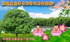 ֹ,д󷨵ӹףʦ(19)