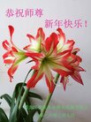 ֹ,󷨵ӹףʦ(21)
