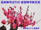 ֹ,ػʵ󷨵ӹףʦ(19)