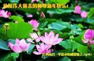 ֹ,󷨵ӹףʦ(20)
