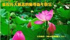 ֹ,󷨵ӹףʦ(20)