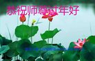 ֹ,󷨵ӹףʦ(21)