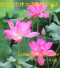 ֹ,󷨵ӹףʦ(23)