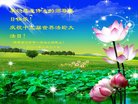 法轮功,陕西大法弟子恭贺世界法轮大法日暨师尊华诞(21条)