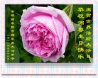 法轮功,安徽大法弟子恭贺世界法轮大法日暨师尊华诞(24条)