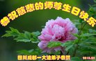 ֹ,ɶ󷨵ӹ編ִʦ𻪵(25)