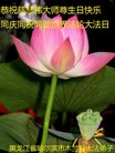 ֹ,󷨵ӹ編ִʦ𻪵(19)