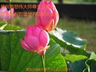 ֹ,󷨵ӹ編ִʦ𻪵(19)