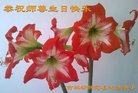 ֹ,ʡ󷨵ӹ編ִʦ𻪵(19)