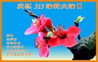 ֹ,󷨵ӹ編ִʦ𻪵(20)